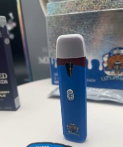 Big Chief 2G Disposable​