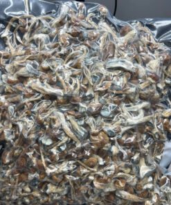 JPEG image 449B BF74 AF 3 1 JPEG image 449B BF74 AF 3 1