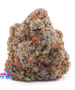 Untitled design 30 1