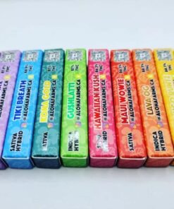 WhatsApp Image 2024 10 20 at 8.27.59 AM 1 1