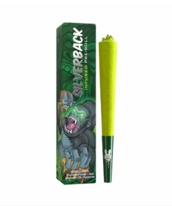 WhatsApp Image 2024 11 01 at 8.37.09 PM 1 1 1 WhatsApp Image 2024 11 01 at 8.37.09 PM 1 1 1