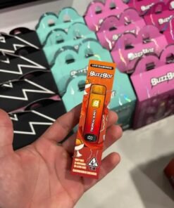 WhatsApp Image 2024 12 19 at 4.24.38 PM 1