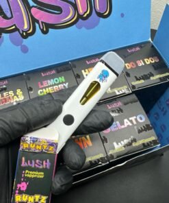 WhatsApp Image 2024 12 28 at 4.42.55 PM 1