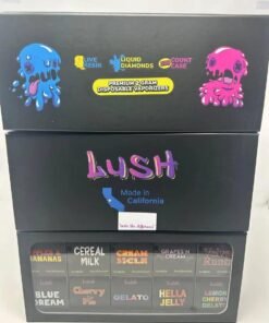 WhatsApp Image 2024 12 28 at 4.42.57 PM 1