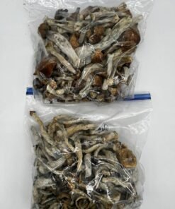 image 16 1 image 16 1