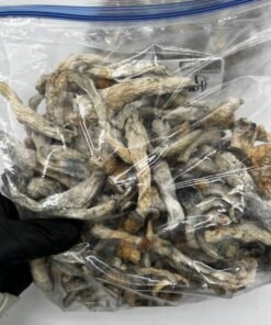 image 18 1 image 18 1