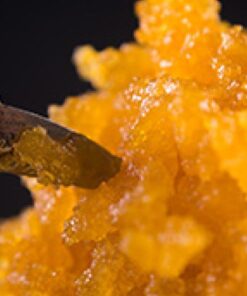 CONCENTRATES