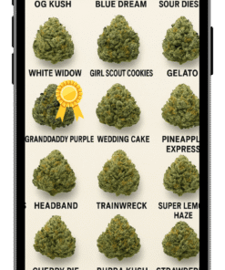 Weed Strains